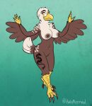  2018 4_fingers 4_toes accipitrid accipitriform ally_(rex5611) anisodactyl anthro areola avian bald_eagle beak big_breasts biped bird black_claws black_eyebrows breasts brown_areola brown_body brown_feathers brown_nipples claws curvy_figure digital_media_(artwork) digitigrade eagle eyebrows eyelashes feathered_wings feathers feet female finger_claws fingers flat_colors front_view full-length_portrait gradient_background green_background hi_res leg_tattoo looking_at_viewer model_sheet multicolored_body multicolored_feathers navel navel_piercing nipple_piercing nipples non-mammal_breasts nude papayamist piercing portrait scuted_arms sea_eagle signature simple_background smile smiling_at_viewer solo standing tail_feathers tattoo thick_thighs toe_claws toes white_body white_feathers wide_hips winged_arms wings yellow_beak yellow_eyes 