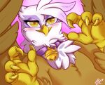  absurd_res aries84 avian beak bell bell_collar bust_portrait claws collar female feral friendship_is_magic gilda_(mlp) gryphon hi_res looking_at_viewer my_little_pony mythological_avian mythology portrait pupils raised_claws slit_pupils solo spread_wings wings 