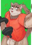  anthro balls bottomless clothed clothing domestic_cat dumbbell erection felid feline felis genitals hi_res male mammal muscular muscular_anthro muscular_male penis sitri solo tiger_029 tokyo_afterschool_summoners video_games weights 