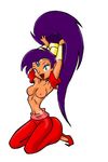  shantae tagme 