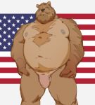  2021 absurd_res anthro balls beard belly body_hair brown_bear chest_hair facial_hair flaccid flag genitals hair hands_on_hips hi_res humanoid_genitalia humanoid_penis looking_at_viewer male mammal moobs musclegut muscular muscular_anthro muscular_male narrowed_eyes navel nipples nude overweight overweight_anthro overweight_male patriotism penis politics pubes simple_background solo standing stars_and_stripes united_states_of_america ursid ursine vincethetiger 