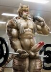 2021 abs absurd_res anthro balls barazoku barbell big_muscles blonde_hair blush bodily_fluids erection exercise felid fur genitals hair hi_res holding_object humanoid_genitalia humanoid_penis inside male mammal muscular muscular_anthro muscular_male musk navel nude nviek5 pantherine pecs penis pubes solo standing striped_body striped_fur stripes sweat tiger towel towel_around_neck water_bottle weightlifting wet wet_body wet_fur white_body white_fur workout 