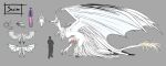  absurd_res big_wings canid canine canis cheek_tuft comparing concept_art dracokaito dracokaitonsfw dragon erection facial_tuft feathers feral fur genitals grey_background hi_res hybrid male mammal model_sheet penis reptile scalie simple_background solo tuft white_body white_fur wings wolf 