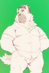  2021 absurd_res anthro belly bottomwear canid canine canis clothing domestic_dog green_background heylaw21 hi_res kemono male mammal overweight overweight_anthro overweight_male pants scar shirt simple_background solo tokyo_afterschool_summoners topwear video_games yasuyori 