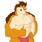  abs anthro barrel_(live-a-hero) canid canine canis clothing gesture licking licking_lips live-a-hero male mammal muscular muscular_anthro muscular_male nipples pecs solo speedo swimwear thumbs_up tongue tongue_out wolf 