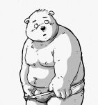  2021 anthro belly blush clothing flaccid genitals kemono male mammal moobs navel nipples overweight overweight_anthro overweight_male penis pommn_mn simple_background solo underwear ursid 