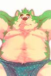 2021 absurd_res anthro belly canid canine canis clothing domestic_dog fur green_body green_fur heylaw21 hi_res kemono live-a-hero male mammal mokdai moobs navel nipples overweight overweight_anthro overweight_male solo underwear video_games 