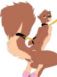  absurd_res anthro anus balls bdsm bodily_fluids brown_body brown_eyes brown_fur brown_hair cheek_tuft collar facial_tuft fur genitals hair hi_res kidnapping kneeling leash leash_pull looking_at_viewer male male/male mammal pawpads perineum petplay pink_pawpads restrained_arms rodent roleplay sciurid slave slave_auction solo tan_body tan_claws tan_fur tears tuft 