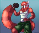  absurd_res ailurid anthro barbell corkiicorgii ear_piercing ear_ring exercise fur hair hi_res looking_at_viewer male mammal multicolored_body multicolored_fur muscular muscular_anthro muscular_male piercing pose red_body red_fur red_hair red_panda smile smug solo striped_body striped_fur striped_tail stripes talileon two_tone_body two_tone_fur weightlifting white_body white_fur workout 