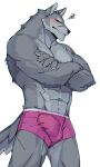  2021 absurd_res anthro blush bulge canid canine canis clothing crossed_arms eyes_closed facial_scar fur gakujo genital_outline grey_body grey_fur hi_res male mammal multicolored_body multicolored_fur muscular muscular_anthro muscular_male penis_outline scar simple_background solo two_tone_body two_tone_fur underwear wolf 