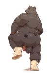  2021 absurd_res anthro backsack balls black_body black_fur black_nose bodily_fluids butt fur genital_fluids genitals hi_res jumperbear kemono male mammal overweight overweight_anthro overweight_male penis precum simple_background solo ursid white_background 