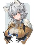  1girl ahoge animal_ears arknights black_gloves blush breasts brown_jacket cliffheart_(arknights) cliffheart_(highlands_visitor)_(arknights) closed_mouth commentary covered_nipples cropped_torso embarrassed eyebrows_visible_through_hair fur-trimmed_jacket fur_trim gloves grey_background grey_sweater hair_between_eyes head_tilt highres jacket lactation lactation_through_clothes leopard_ears looking_at_viewer medium_breasts mikojin official_alternate_costume open_clothes open_jacket ribbed_sweater short_hair silver_eyes silver_hair simple_background solo sweatdrop sweater tareme turtleneck turtleneck_sweater upper_body white_background 