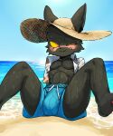  anthro ball beach black_body black_fur blush bodily_fluids bulge clothed clothing fur hat headgear headwear hi_res league_of_legends legs_up male o0nooo33 one_eye_closed open_clothing riot_games sand seaside solo straw_hat sweat swimming_trunks swimwear veigar video_games water wet wet_body wet_clothing wet_fur yellow_eyes yordle 