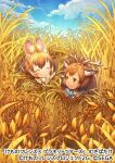  2girls animal_ears axis_deer_(kemono_friends) blue_shirt bow bowtie brown_eyes closed_eyes commentary_request deer_antlers deer_ears deer_girl dhole_(kemono_friends) dog_ears dog_girl eyebrows_visible_through_hair kemono_friends kemono_friends_3 kiitos light_brown_hair multiple_girls official_art shirt short_hair smile tall_grass white_neckwear 