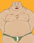  2021 absurd_res anthro brown_body brown_fur clothing cute_fangs fur green_eyes hi_res inigo_(kusosensei) kemono male mammal moobs nipples overweight overweight_anthro overweight_male qqmelon888 simple_background solo swimwear ursid 