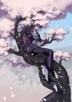  1boy animal_on_head bird bird_on_head blue_sky fengxi_(the_legend_of_luoxiaohei) hair_over_one_eye highres long_hair long_sleeves on_head petals purple_hair rkp shadow sitting sky solo the_legend_of_luo_xiaohei tree wide_shot 