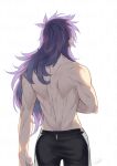  1boy black_pants cowboy_shot fengxi_(the_legend_of_luoxiaohei) from_behind long_hair male_focus muscular muscular_male pants pointy_ears purple_hair rkp shirtless signature simple_background solo the_legend_of_luo_xiaohei white_background 