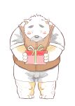  2015 absurd_res andikapatok anthro black_nose bottomwear clothing facial_hair fur hi_res kemono male mammal mustache overweight overweight_anthro overweight_male shirt shorts simple_background solo topwear ursid white_background white_body white_fur 