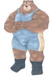  2021 anthro brown_body brown_fur brown_nose bulge fur hi_res humanoid_hands kemono male mammal musclegut simple_background solo ursid velcro74656 white_background wrestling_singlet 