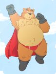  2015 andikapatok anthro brown_body brown_fur brown_nose bulge cape clothing fur gloves handwear hi_res humanoid_hands kemono male mammal moobs nipples outside overweight overweight_anthro overweight_male solo underwear ursid 