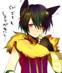  1boy animal_around_neck animal_ear_fluff animal_ears arutopian bangs black_gloves black_hair closed_mouth commentary_request detached_sleeves eyebrows_visible_through_hair eyes_visible_through_hair fingerless_gloves fox gloves hair_between_eyes looking_at_viewer male_focus professor_(ragnarok_online) ragnarok_online red_eyes red_shirt shirt short_hair simple_background sleeveless sleeveless_shirt solo striped_sleeves translation_request upper_body white_background white_sleeves yellow_sleeves 