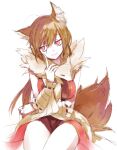  1girl animal_around_neck animal_ears arm_under_breasts arutopian bangs breasts brown_hair closed_mouth commentary_request cowboy_shot detached_sleeves dress eyebrows_visible_through_hair fox fox_ears fox_tail looking_to_the_side medium_breasts pelvic_curtain professor_(ragnarok_online) ragnarok_online red_dress red_eyes short_hair simple_background sleeveless sleeveless_dress smile solo striped_sleeves tail white_background 