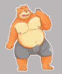  2015 andikapatok anthro belly brown_body brown_fur bulge clothing fur genital_outline hi_res humanoid_hands kemono male mammal moobs navel nipples overweight overweight_anthro overweight_male penis_outline phone simple_background solo underwear ursid 