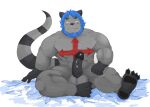  2015 andikapatok anthro balls barazoku black_body black_fur blue_hair bodily_fluids erection fur genital_fluids genitals grey_body grey_fur hair humanoid_genitalia humanoid_hands humanoid_penis kemono male mammal muscular muscular_anthro muscular_male penis precum sitting solo 