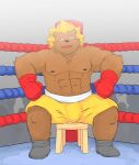  2015 andikapatok anthro bottomwear boxing boxing_gloves brown_body bulge clothing felid fighting_ring handwear hi_res kemono lion male mammal nipples pantherine shorts sitting solo sport 