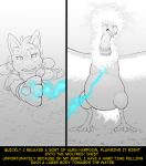  aura avian black_and_white clothing comic fidchellvore hildegard_(fidchellvore) jacket legendary_pok&eacute;mon lucario moltres monochrome nintendo pok&eacute;mon pok&eacute;mon_(species) text topwear video_games 