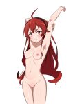  1girl absurdres armpits arms_up blush breasts eris_greyrat frown hair_ribbon highres long_hair looking_at_viewer mushoku_tensei navel nipples nude pussy red_eyes red_hair ribbon small_breasts small_nipples white_background zedxxx 