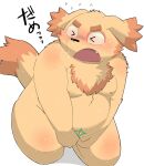  2021 anthro blush bodily_fluids brown_body brown_fur canid canine canis cu_sith_(tas) domestic_dog eyes_closed fur gayousi7 hi_res japanese_text kemono male mammal moobs nipples overweight overweight_anthro overweight_male simple_background solo sweat text tokyo_afterschool_summoners video_games white_background 