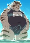  2021 absurd_res anthro balls_outline blush bulge clothed clothing erection erection_under_clothing felid fur genital_outline hi_res humanoid_hands japanese_text kemono licho_(tas) male mammal one-piece_swimsuit overweight overweight_anthro overweight_male pantherine penis_outline ptcmtr school_swimsuit solo swimwear text tiger tokyo_afterschool_summoners video_games water white_body white_fur 