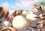  2021 abasirisippo anthro balls bathing beach detailed_background erection felid genitals humanoid_genitalia humanoid_hands humanoid_penis kemono lying male mammal moobs nipples outside overweight overweight_anthro overweight_male pantherine penis seaside solo tiger water 
