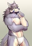  anthro bottomwear canid canine canis clothing fur hair male mammal ryuulabo simple_background temujin tokyo_afterschool_summoners video_games wolf 
