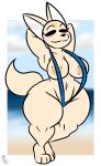  2021 aggressive_retsuko anthro barefoot beach big_breasts bikini blurred_background blush breasts butt canid canine clothed clothing curvy_figure feet female fennec fenneko fox fur hi_res kingretrokirby mammal sanrio seaside smile solo swimwear tagme thick_thighs topwear voluptuous wide_hips 