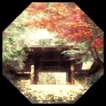  absurdres architecture autumn_leaves border commentary dappled_sunlight east_asian_architecture entrance gate highres hisamesy huge_filesize no_humans original pillar scenery stairs sunlight tile_roof tree 
