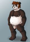  2012 anthro asumakuma balls belly black_body black_fur black_nose flaccid fur genitals giant_panda male mammal moobs nipples overweight overweight_anthro overweight_male penis pubes simple_background solo ursid white_body white_fur 