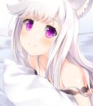  1girl animal_ear_fluff animal_ears animare bangs bare_shoulders bed_sheet blurry blurry_background breasts closed_mouth collarbone depth_of_field eyebrows_visible_through_hair highres long_hair lying on_stomach pillow purple_eyes sch shiromiya_mimi small_breasts smile solo strap_slip virtual_youtuber white_hair 