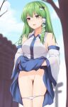  1girl bangs bare_shoulders blue_eyes blue_skirt blue_sky blush breasts censored clothes_lift cloud commentary_request cowboy_shot day detached_sleeves frog_hair_ornament green_hair groin hair_ornament hair_tubes highres kochiya_sanae lifted_by_self long_hair long_sleeves looking_away medium_breasts miyo_(ranthath) mosaic_censoring open_mouth outdoors panties panty_pull pussy shirt sidelocks skirt skirt_lift sky snake_hair_ornament solo standing sweat thigh_gap thighs touhou tree underwear viewfinder white_panties white_shirt wide_sleeves 
