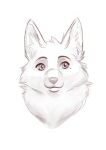  absurd_res anthro canid canine canis draft_(disambiguation) female fluffy hi_res lovelessvix mammal sketch solo wolf 