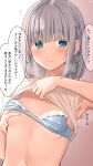  areola bra breast_hold ginpatsu-chan_(ramchi) ramchi shirt_lift tagme undressing 