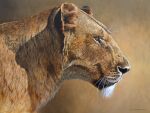  brown_body brown_fur chandlerwildlifeart felid female feral fur lion mammal oil_painting_(artwork) painting_(artwork) pantherine realistic solo traditional_media_(artwork) whiskers 