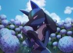  closed_mouth cloud commentary_request day gen_4_pokemon highres holding lucario outdoors pokemon pokemon_(creature) sky smile solo spikes yukifuri_tsuyu 