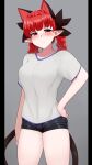  1girl :/ animal_ears blush braid breasts cat_ears cat_tail commentary cowboy_shot extra_ears grey_background hand_on_hip kaenbyou_rin large_breasts looking_at_viewer mizuga multiple_tails nekomata pillarboxed pointy_ears red_eyes red_hair shirt shorts simple_background solo tail touhou twin_braids twintails two_tails white_shirt 