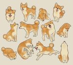  ._. beige_background brown_dog cat closed_eyes closed_mouth commentary_request curled_tail dog facing_viewer from_above from_side grey_cat ikkaf_sk looking_at_viewer looking_down looking_up lying multiple_views no_humans on_side one_eye_closed open_mouth original shiba_inu simple_background sitting standing tongue tongue_out |3 |d 