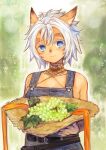  1girl animal_ears belt blue_eyes blush breasts cat_ears choker cleavage dark_skin doraeshi facial_mark final_fantasy final_fantasy_xi food fruit grapes hat highres holding holding_clothes holding_hat light_smile mithra overalls short_hair sideboob silver_hair solo straw_hat upper_body 