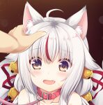  1girl ahoge animal_ear_fluff animal_ears bangs bell blush brown_eyes collar collarbone commentary_request eyebrows_visible_through_hair fang fox_ears hair_bell hair_between_eyes hair_ornament hair_ribbon hand_on_another&#039;s_head highres indie_virtual_youtuber jingle_bell kamiko_kana leash multicolored_hair nude open_mouth out-of-frame_censoring out_of_frame red_collar red_hair red_ribbon ribbon sakuraba_hikaru_(loveindog) silver_hair solo_focus streaked_hair sweat upper_body virtual_youtuber 