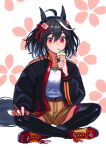  1girl ahoge animal_ears black_hair black_jacket black_legwear brown_shorts cup drinking drinking_straw floral_background hair_between_eyes hair_ribbon highres holding holding_cup horse_ears horse_girl horse_tail indian_style jacket kitasan_black looking_at_viewer multicolored_hair open_clothes open_jacket red_eyes red_footwear red_ribbon ribbon shirt shoes short_hair shorts sitting solo streaked_hair tail thighhighs umamusume white_hair white_shirt window1228 