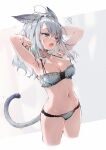  1girl ;o ahoge animal_ears armpits arms_up bare_arms bare_shoulders bra breasts cat_ears cat_girl cat_tail cleavage collarbone commentary cropped_legs fang grey_bra grey_panties groin halter_top halterneck highres lingerie looking_away medium_breasts mixed-language_commentary navel one_eye_closed open_mouth original panties solo standing stomach string_bra tail thighs underwear underwear_only white_background yatsuha_(hachiyoh) 